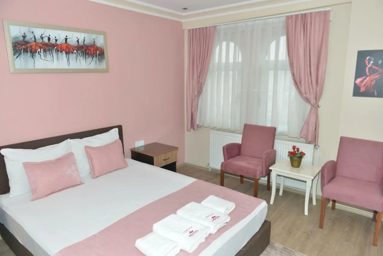 Teras Hotel Kagithane Istanbul 0*,